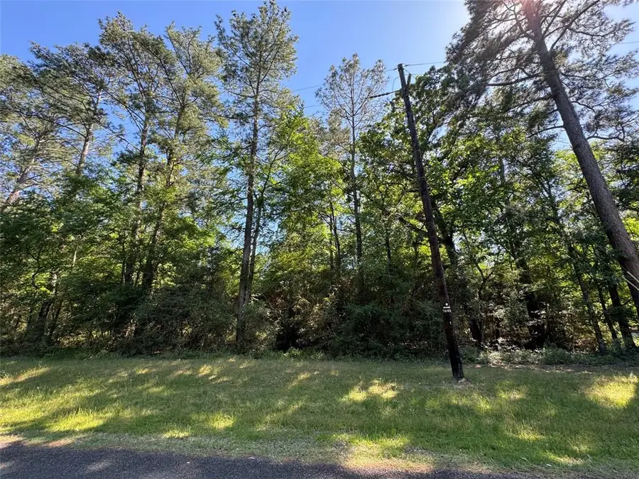 258 Coral Gables, Trinity, TX 75862 - Image #2