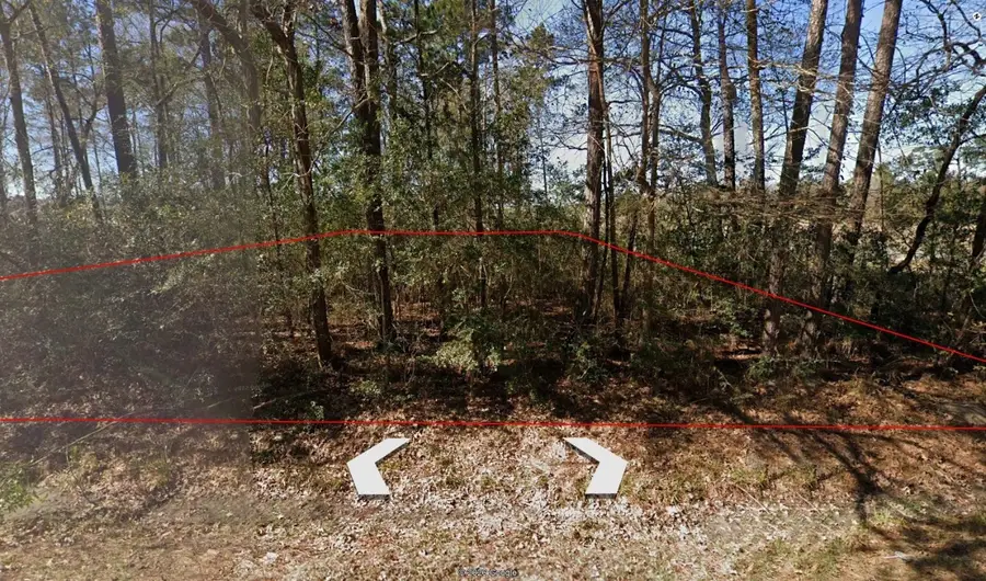 00 Dogwood Lane, Houston, TX 77339 - #3