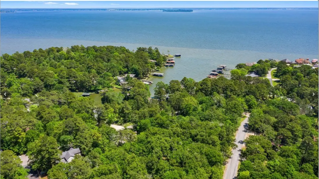 151 Walnut Point Drive, Coldspring, TX 77331 - Image #1