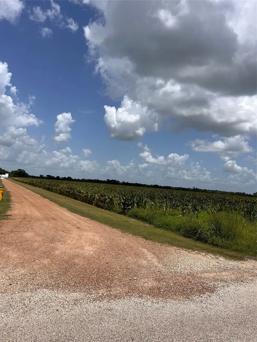Lot 1 Tract 2 Svoboda Road, Wallis, TX 77485 - #2