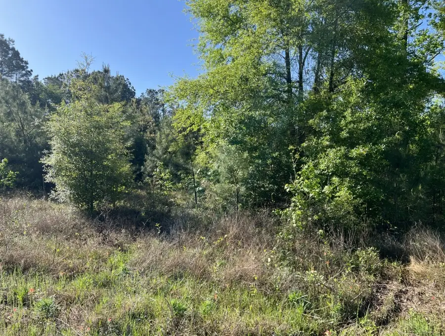 TBD Highway 105, Cleveland, TX 77328 - Image #2