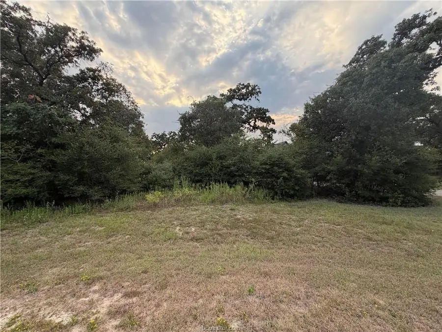 9467 Windsor Avenue, Iola, TX 77861 - #3