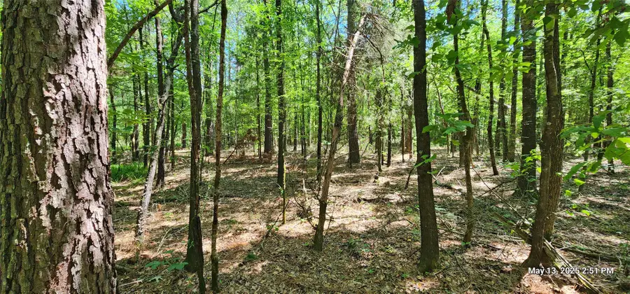 TBD Cr 3233 East And Cr 3230, Clarksville, TX 75426 - Image #2