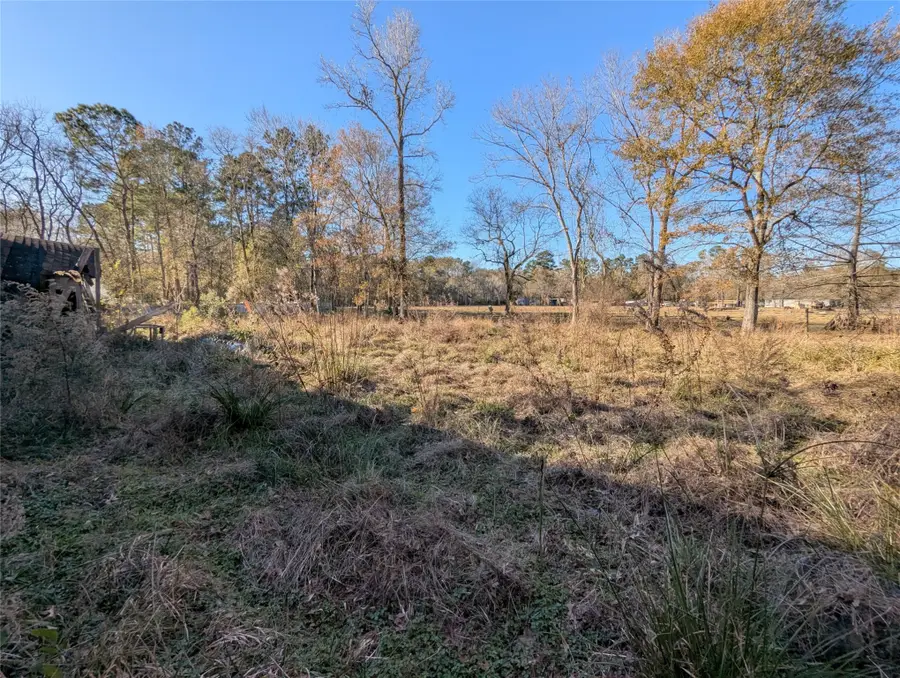 27999 Pin Oak Drive, Splendora, TX 77372 - Image #3