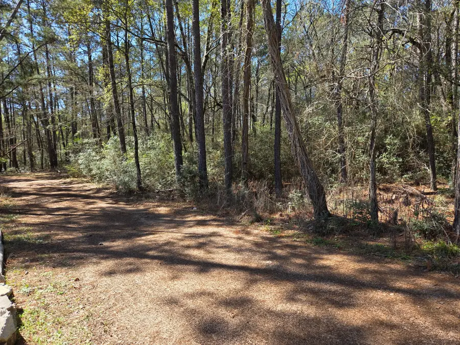 lot 20 Hackberry Drive, Plantersville, TX 77363 - #3