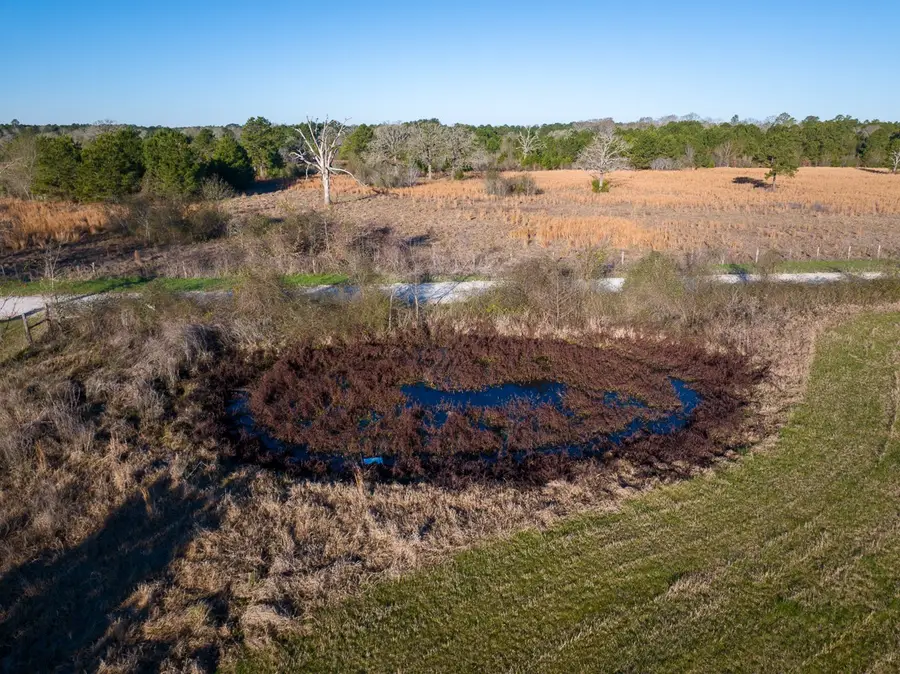 TBD Dickey Loop, Huntsville, TX 77320 - Image #3