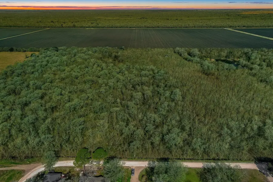 TBD Tr 19e2a Cr647, Guy, TX 77444 - Image #2