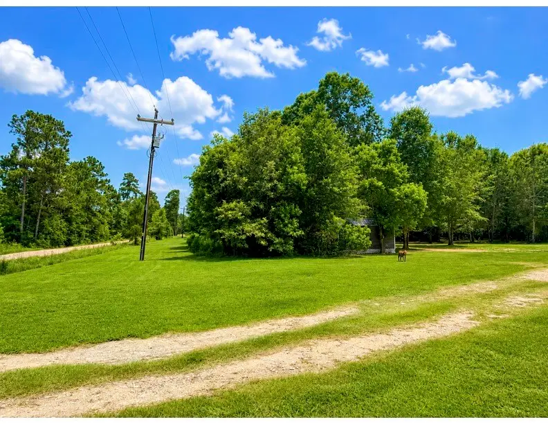 476 Camp Branch Road, Trinity, TX 75862 - #3