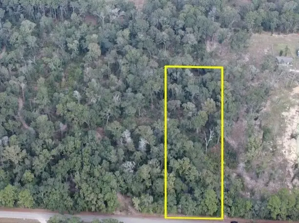 0 Crowley Road, Conroe, TX 77301 - Image #3