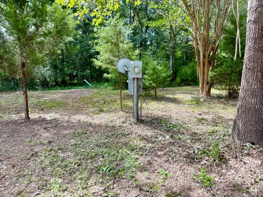 800 Windwood Drive, Livingston, TX 77351 - #3