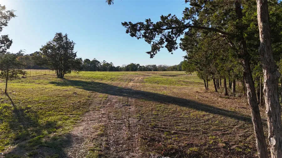 TBD Townley Ranch Road, Huntsville, TX 77320 - Image #2