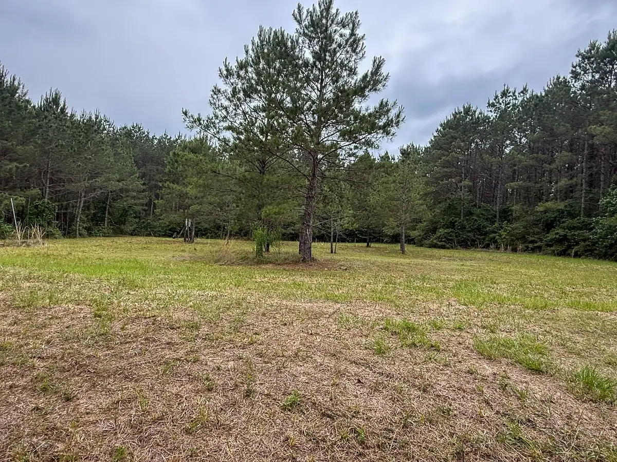 1131 Big Woods Road, New Waverly, TX 77358 - #1