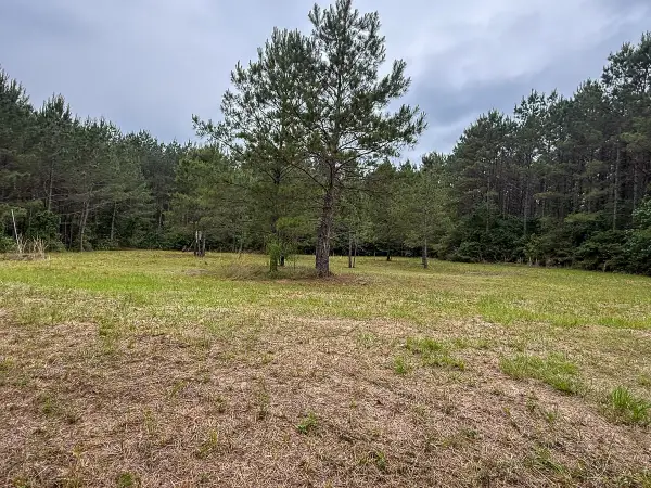 1131 Big Woods Road, New Waverly, TX 77358