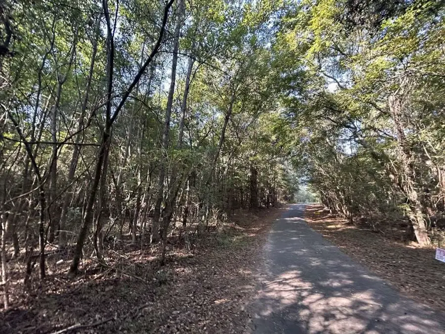 1229 Spraglin Road, Pittsburg, TX 75686 - Image #2