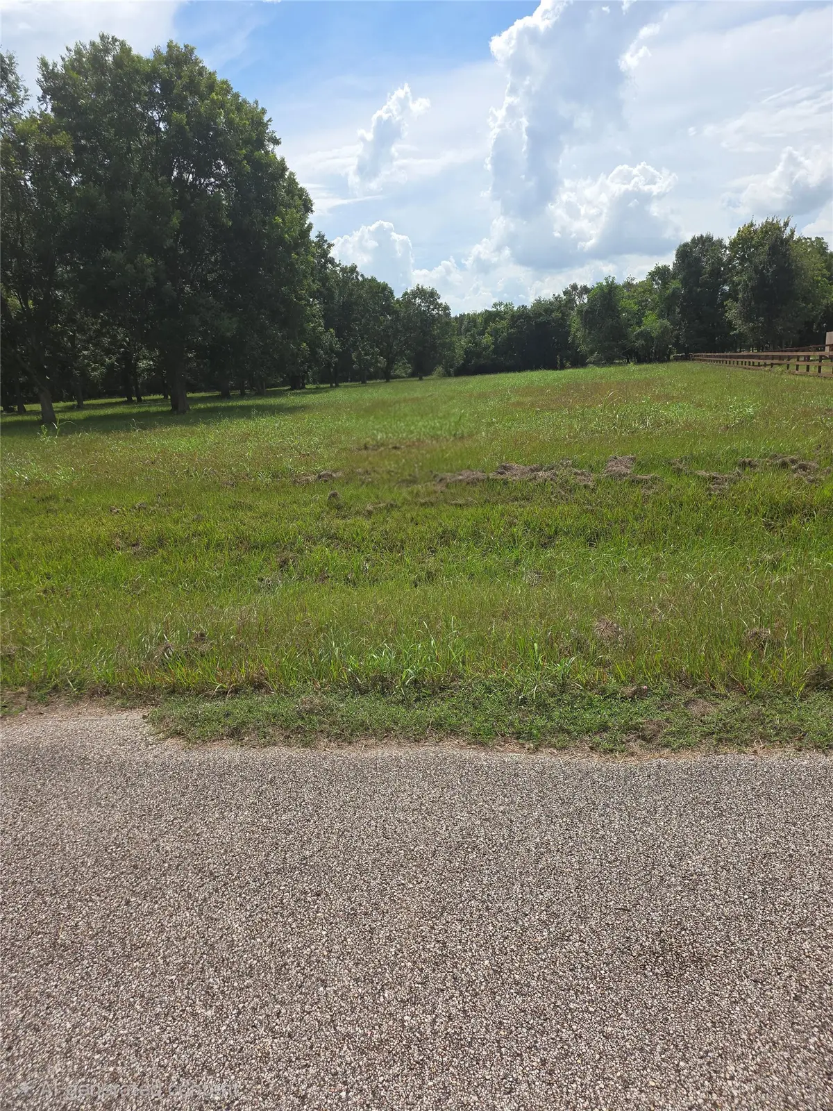 16834 Wrangler Road, Rosharon, TX 77583 - #1