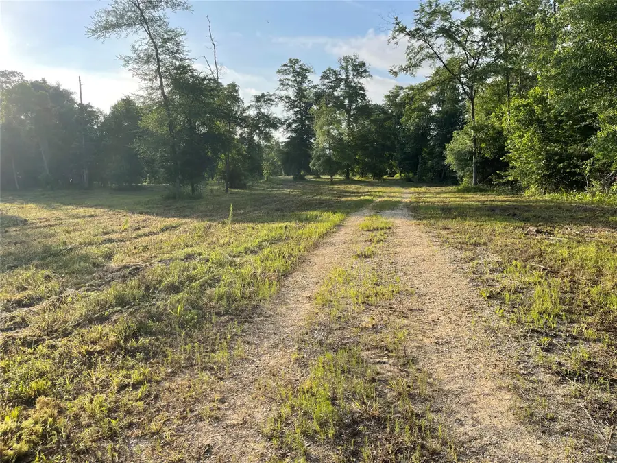 TBD Snell Road, Livingston, TX 77351 - Image #2