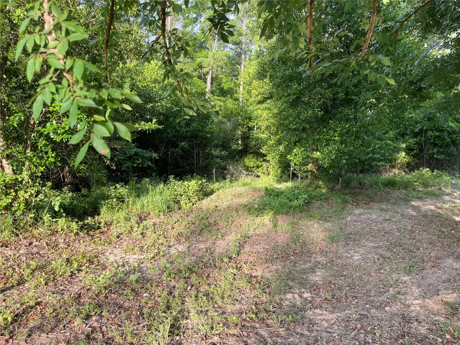 TBD Snell Road, Livingston, TX 77351 - Image #3