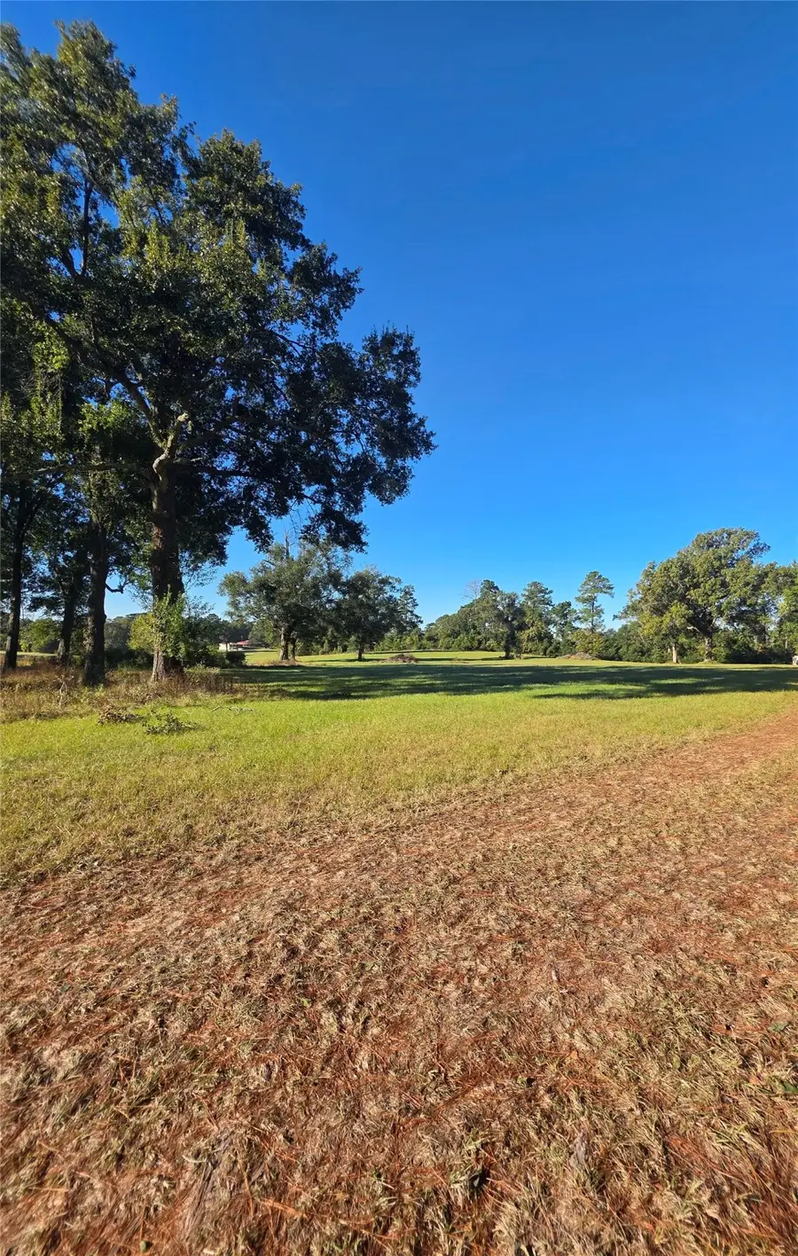 860 Easy Street Road, Livingston, TX 77351 - Image #3