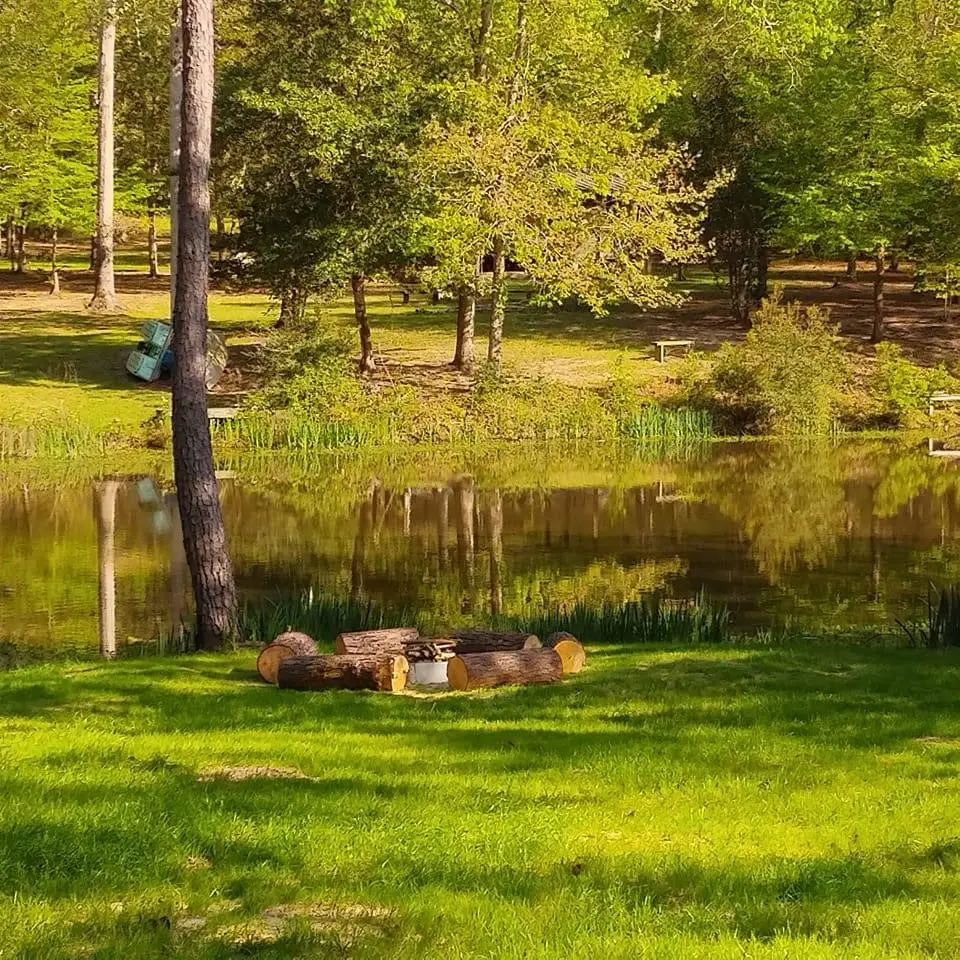 287 Johnny Cash Road, Livingston, TX 77351 - Image #1