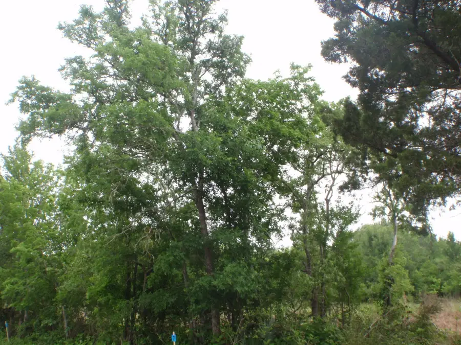 4001-4008,4102 Pr 652, Sargent, TX 77414 - Image #3