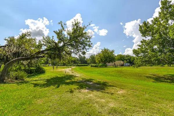 0 Buckskin Road, Simonton, TX 77476