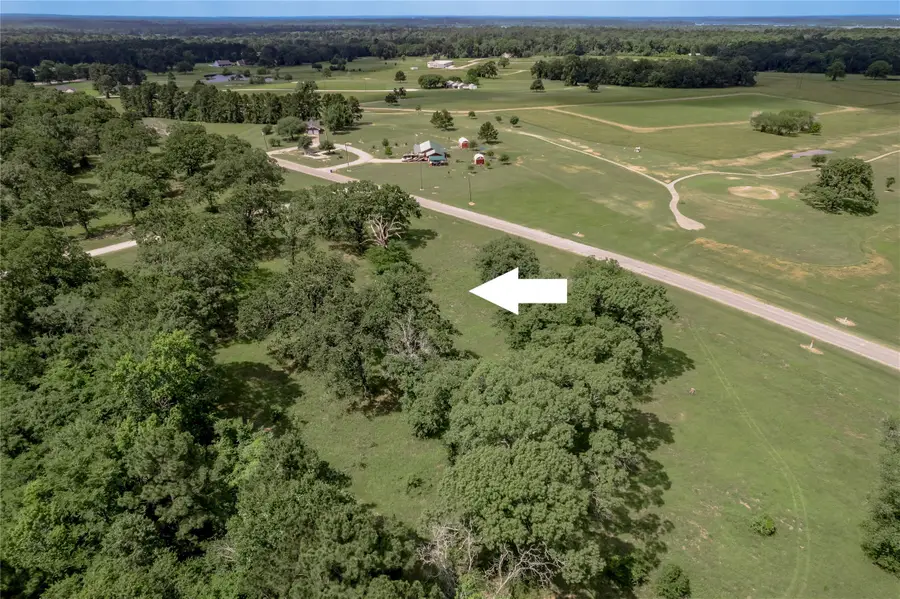 Lot 11 Tara Drive, Trinity, TX 75862 - Image #3