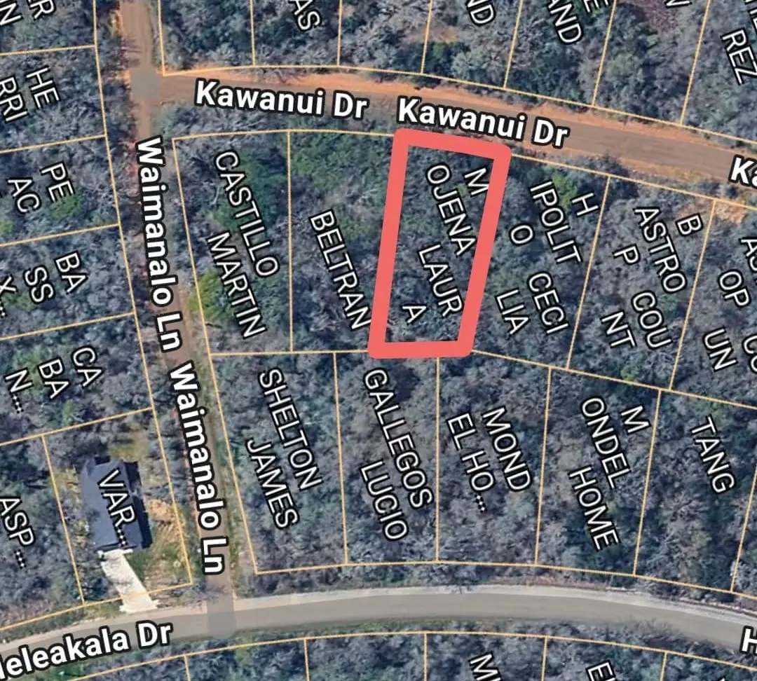 1035 Kawanui Drive, Bastrop, TX 78602 - #1