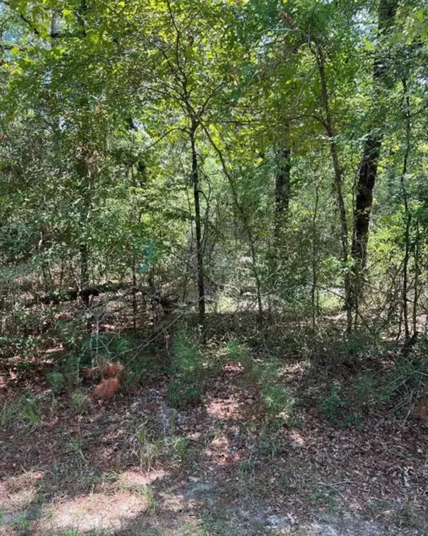 38 Landing Way, Trinity, TX 75862