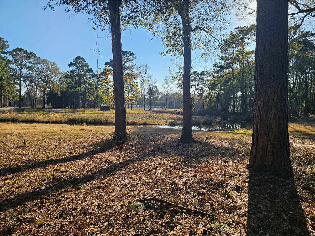 1325 Fm 223 Road, Shepherd, TX 77371 - #1