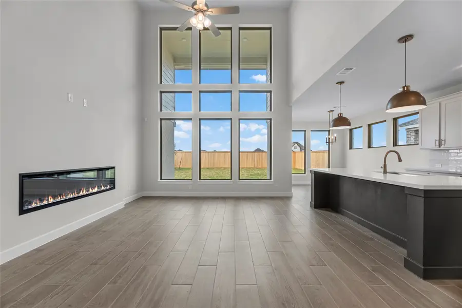 31131 Riley Heights Drive, Fulshear, TX 77441 - #3