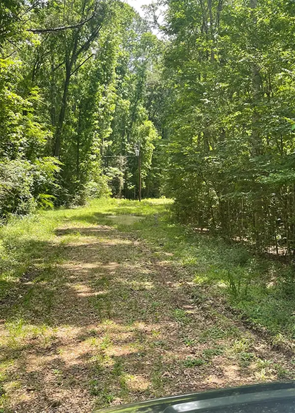 000 Northwest Drive, Coldspring, TX 77331