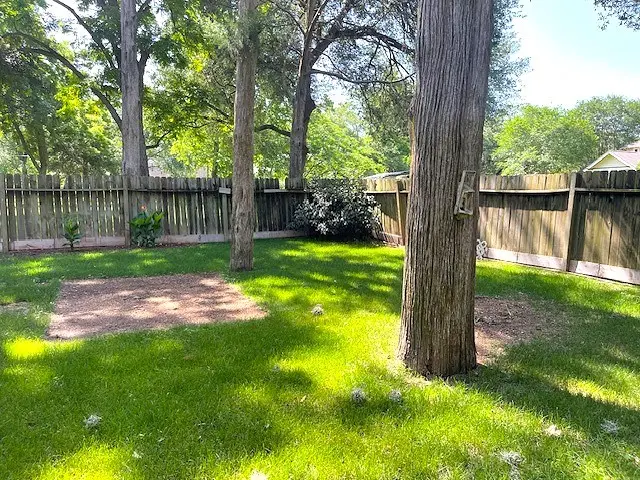 6211 Gresham Street, Wallis, TX 77485 - Image #2