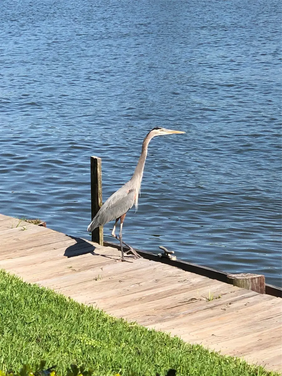 1 April Point Drive S, Montgomery, TX 77356 - #2