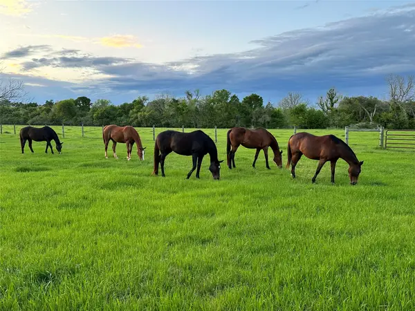 2100 Peach Ridge Road, Brookshire, TX 77423