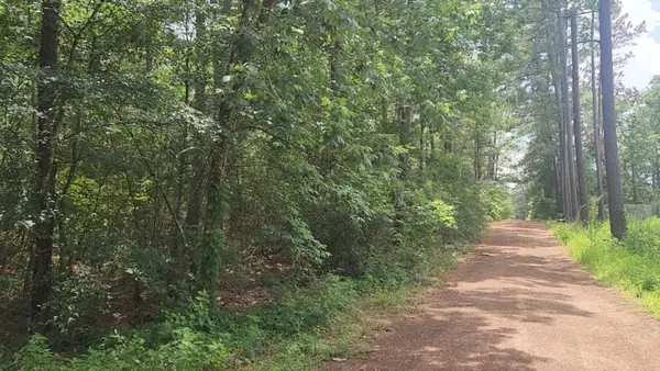 Lot 6 Cherry Tree Lane, Plantersville, TX 77363