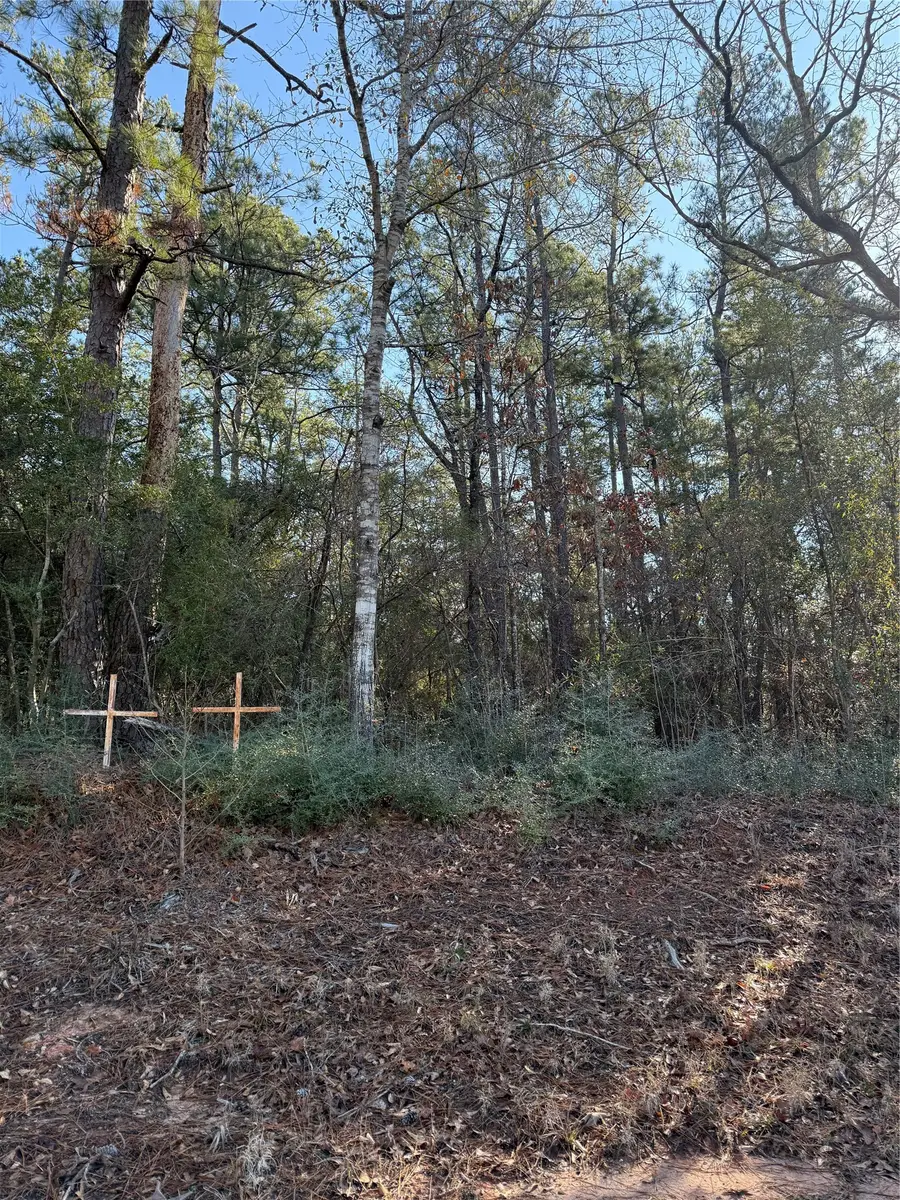 TBD E Fm 942, Corrigan, TX 75939 - #3