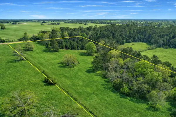 TBD Denson Allen Road, Coldspring, TX 77331