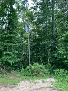 TBD Sandy Creek Lane, Willis, TX 77378