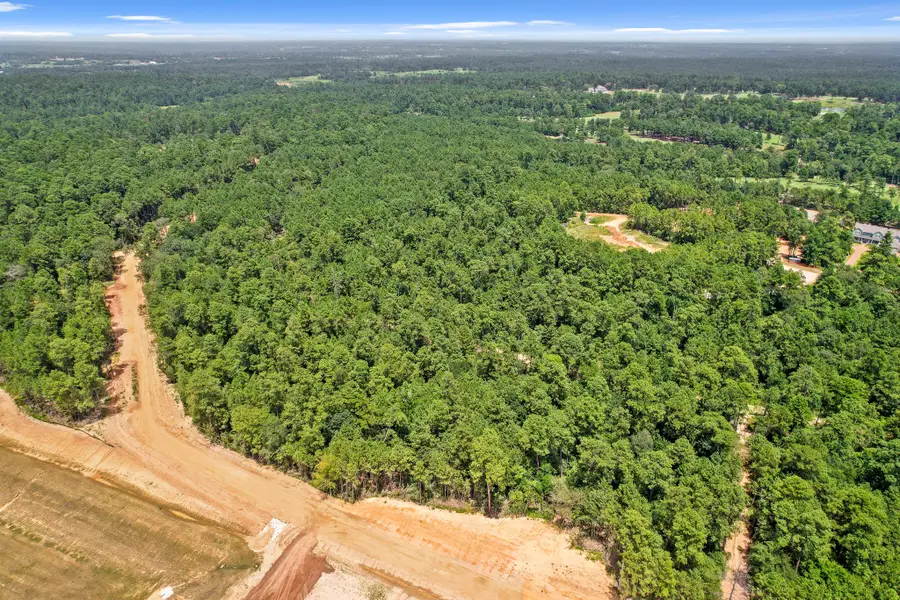 4041 Augusta Drive, Montgomery, TX 77316 - #3