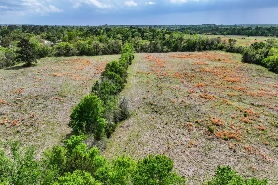 1881 Sh 75 North, Huntsville, TX 77320 - #3