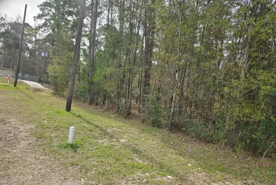 10437 Ivy St, Livingston, TX 77351 - Image #2