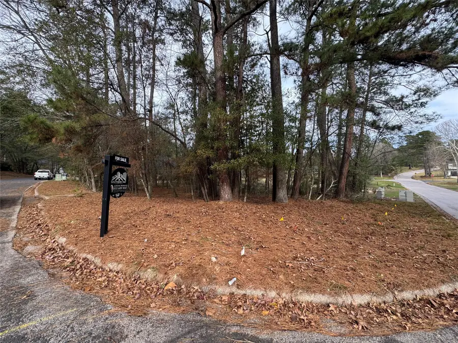 728 Overbrook Drive, Huntsville, TX 77340 - Image #3