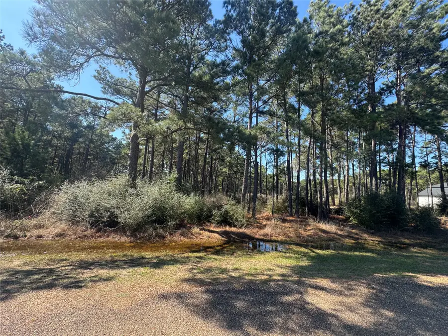 0 Grant Road, Cypress, TX 77429 - #2