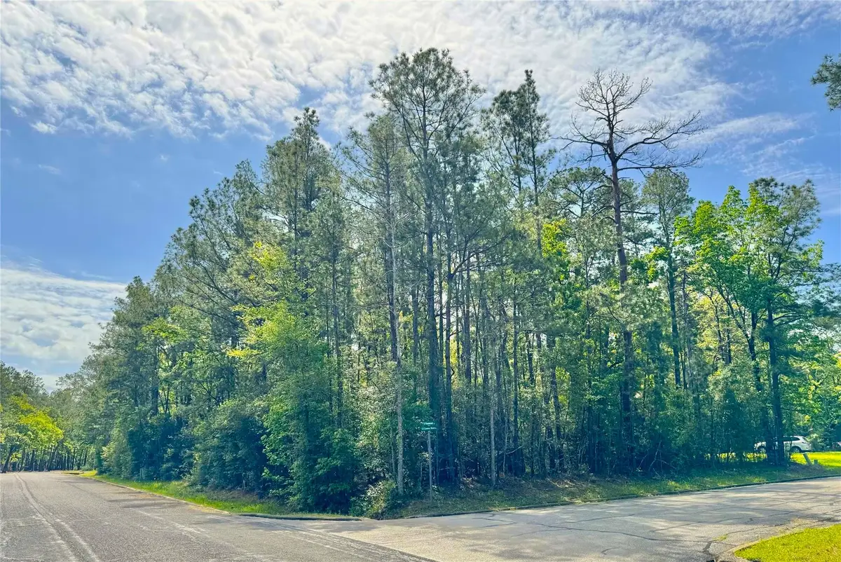 0 Queens Wood Plaza, Huntsville, TX 77320 - Image #1