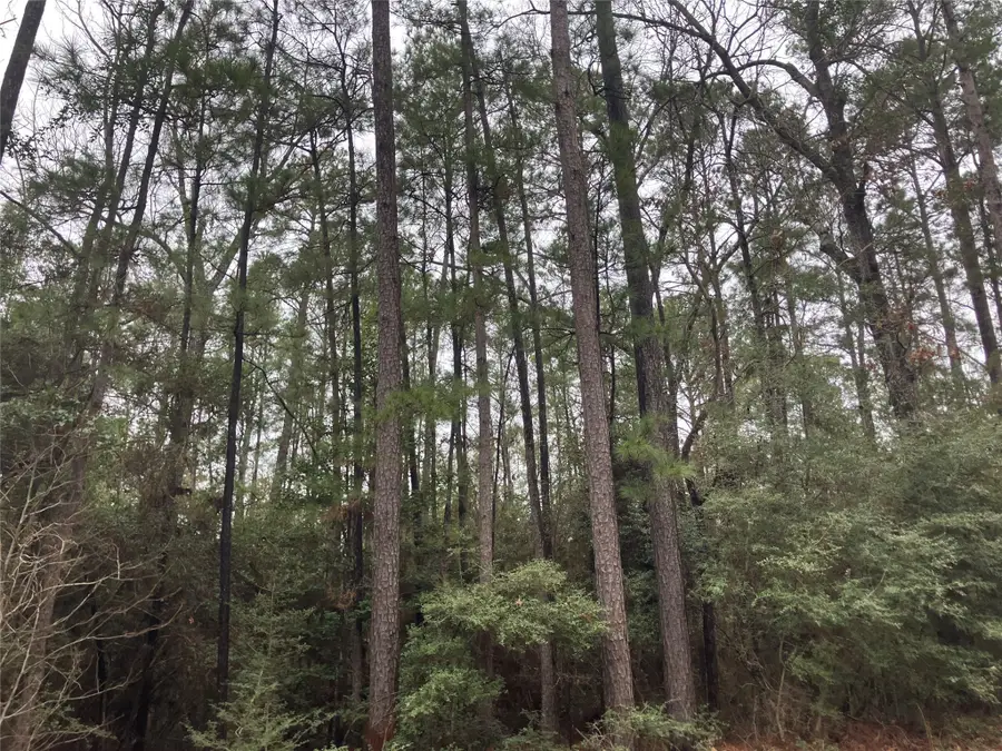 TBD Little Ponderosa Drive, Onalaska, TX 77360 - Image #3