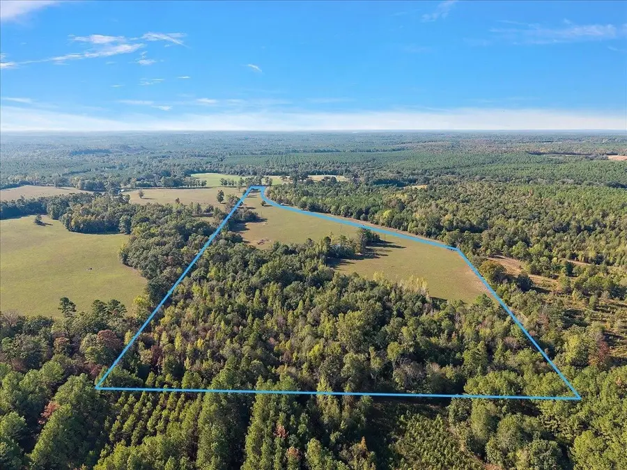 0 Cr 1601, Avinger, TX 75630 - #2