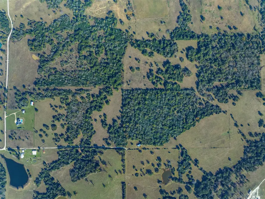 12038 County Road 112, Iola, TX 77861 - Image #3