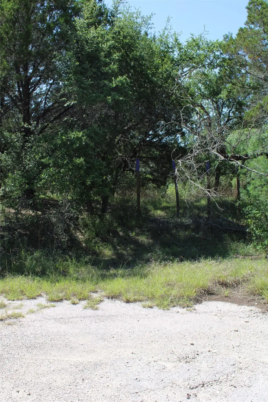 8203 Cedar Glen Cove, Leander, TX 78645 - #2