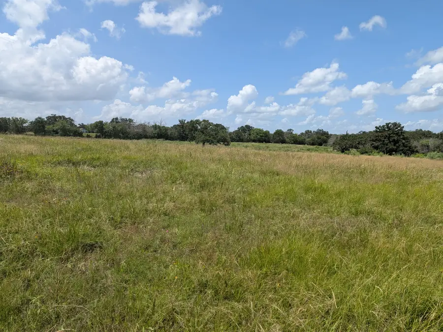 0011 County Road 115, Bedias, TX 77831 - #3