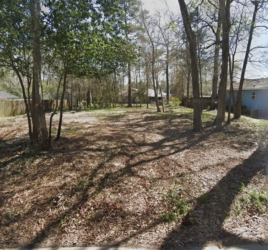 25724 Chestnut Lane, Splendora, TX 77372 - Image #2